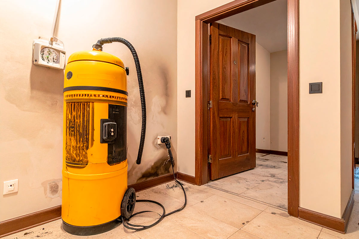 Fire odor removal and deodorization