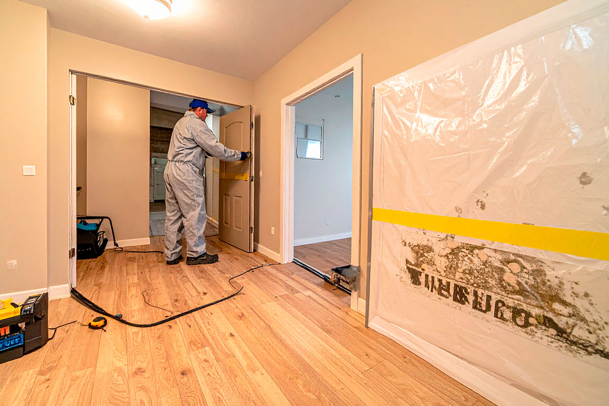 Mold containment and removal during remediation